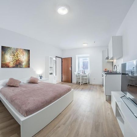 Apartment Klara Free Parking, Center プーラ エクステリア 写真