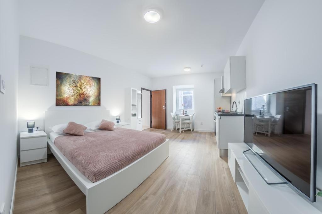Apartment Klara Free Parking, Center プーラ エクステリア 写真