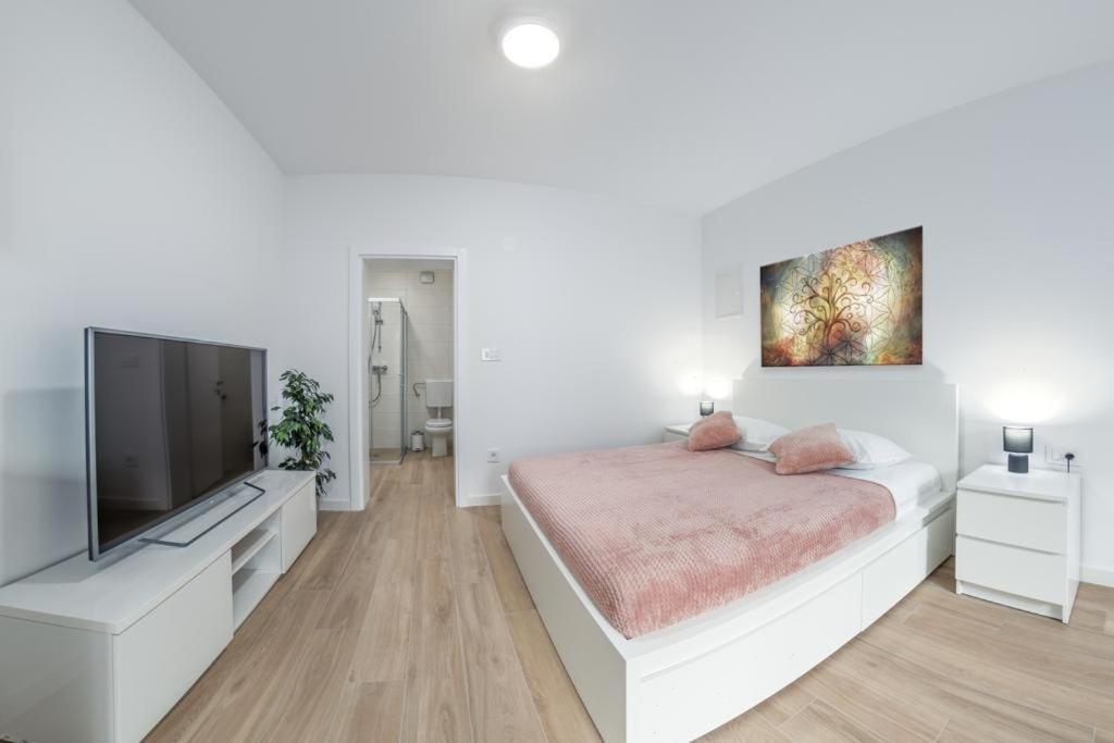 Apartment Klara Free Parking, Center プーラ エクステリア 写真